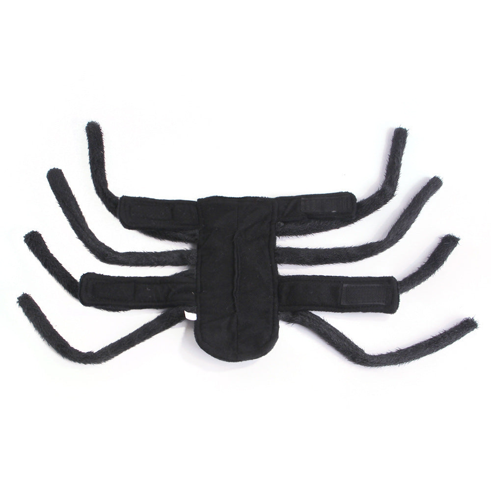 Pet Halloween Funny spider