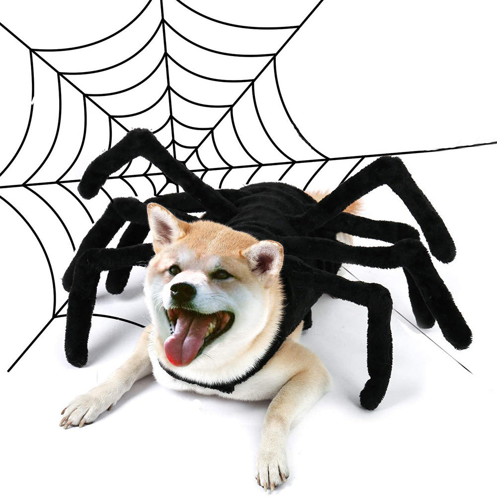 Pet Halloween Funny spider