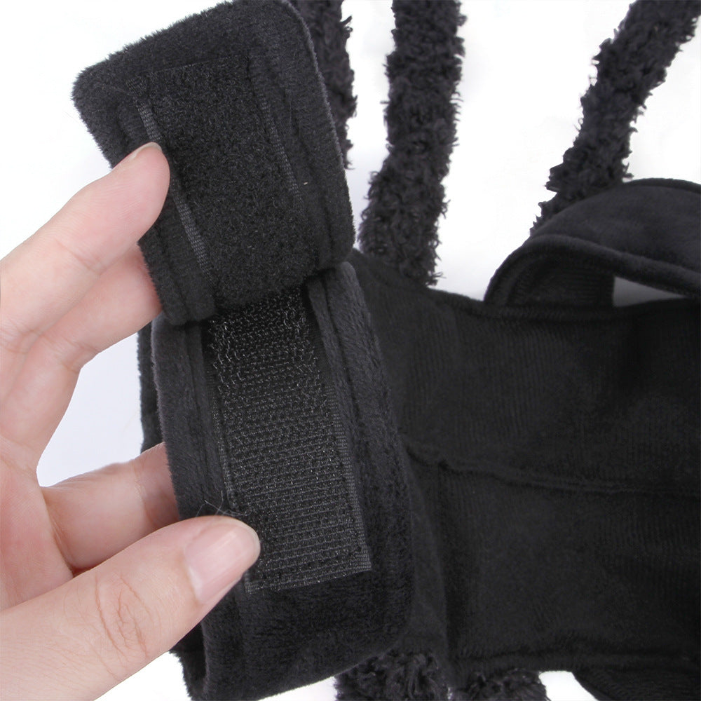 Pet Halloween Funny spider