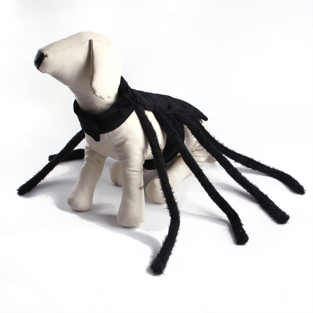 Pet Halloween Funny spider
