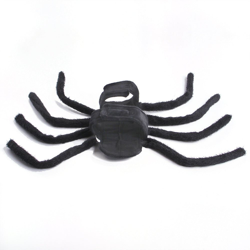 Pet Halloween Funny spider