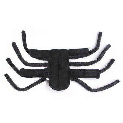 Pet Halloween Funny spider