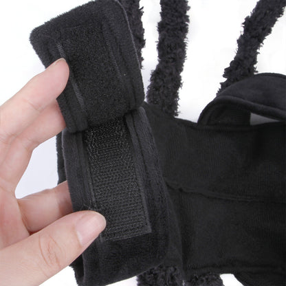 Pet Halloween Funny spider