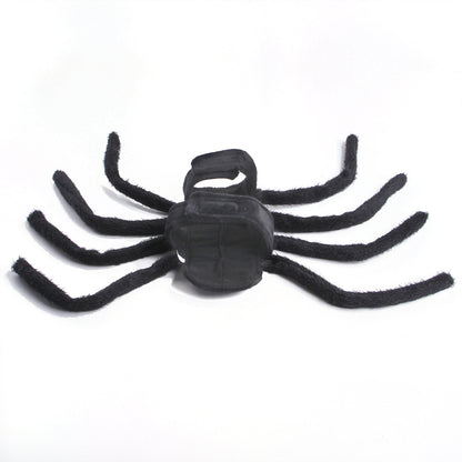 Pet Halloween Funny spider